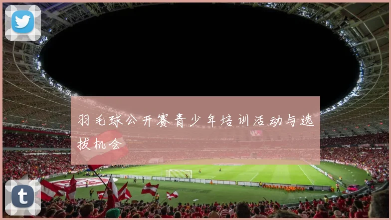 羽毛球公开赛青少年培训活动与选拔机会