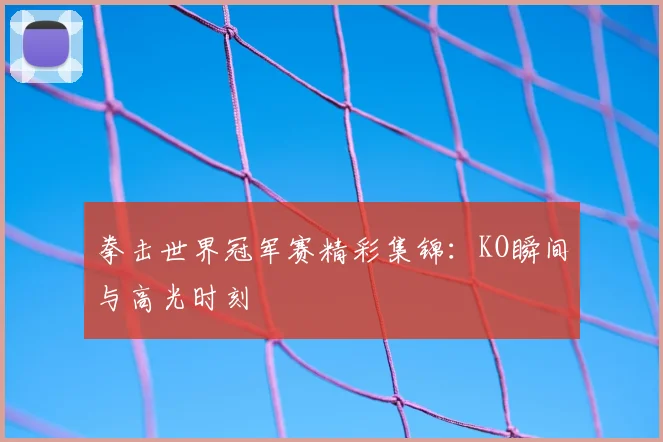 拳击世界冠军赛精彩集锦：KO瞬间与高光时刻